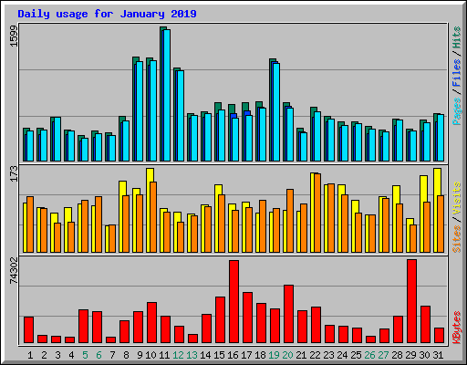Daily usage for January 2019