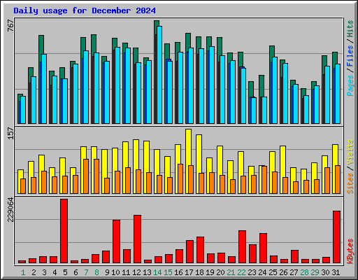 Daily usage for December 2024