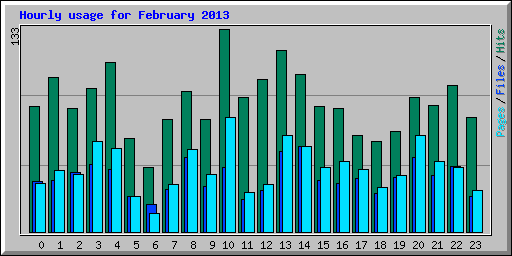 Hourly usage for February 2013
