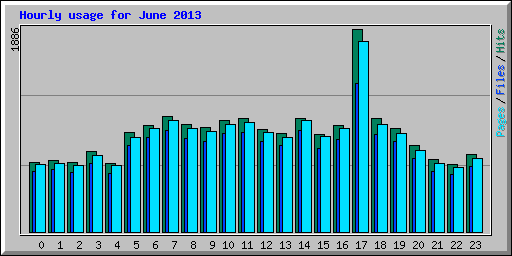 Hourly usage for June 2013