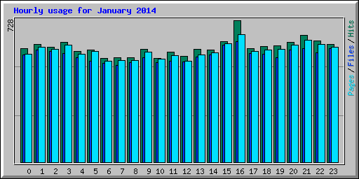 Hourly usage for January 2014