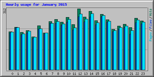 Hourly usage for January 2015