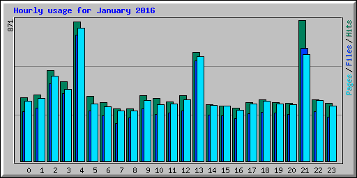 Hourly usage for January 2016