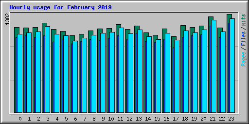 Hourly usage for February 2019
