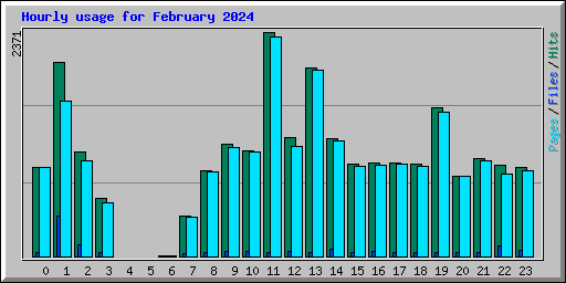 Hourly usage for February 2024