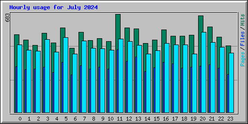Hourly usage for July 2024