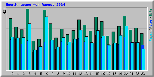 Hourly usage for August 2024