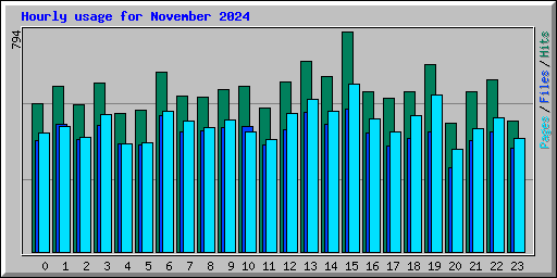 Hourly usage for November 2024