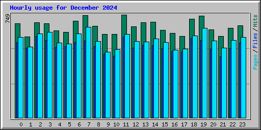 Hourly usage for December 2024