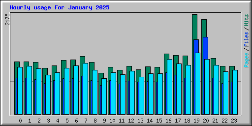 Hourly usage for January 2025