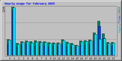 Hourly usage for February 2025