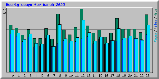 Hourly usage for March 2025