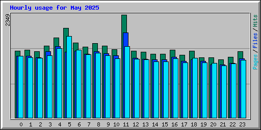 Hourly usage for May 2025