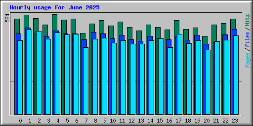 Hourly usage for June 2025