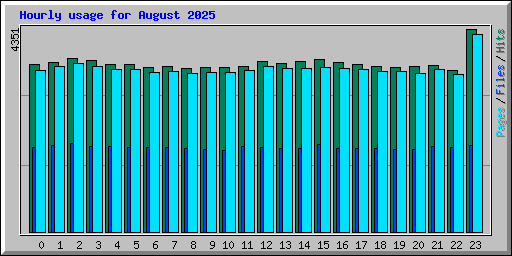 Hourly usage for August 2025