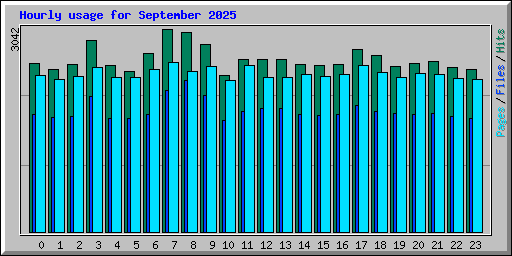 Hourly usage for September 2025