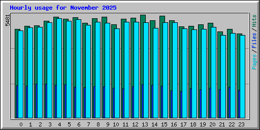 Hourly usage for November 2025