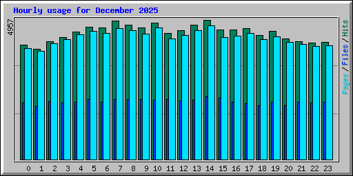 Hourly usage for December 2025