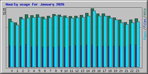 Hourly usage for January 2026