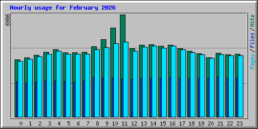 Hourly usage for February 2026