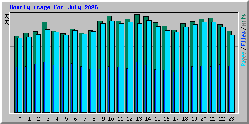 Hourly usage for July 2026